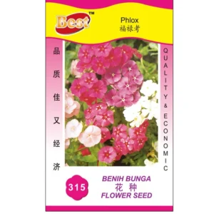 Phlox Seed