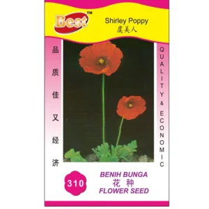 Shirley Poppy Seed