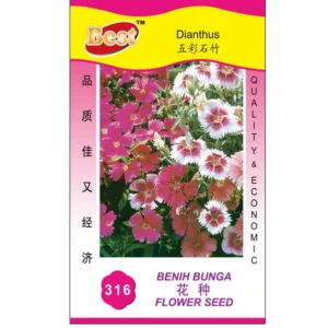Dianthus Seed