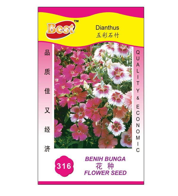 Dianthus Seed
