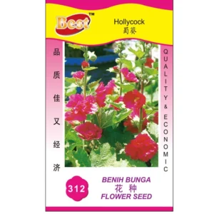 Hollycock Seed