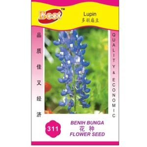 Lupin Seed