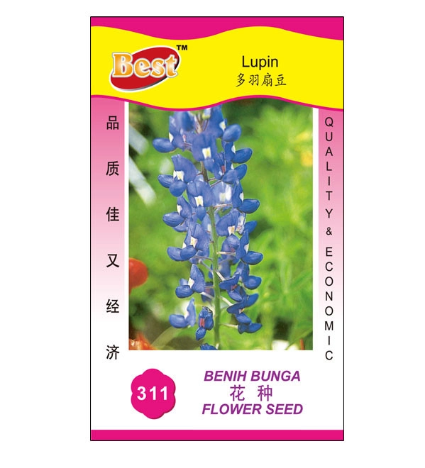 Lupin Seed