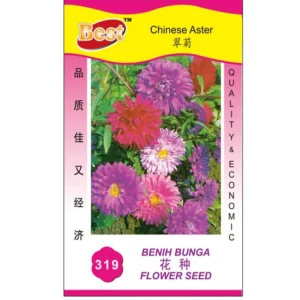 Chinese Aster Seeds