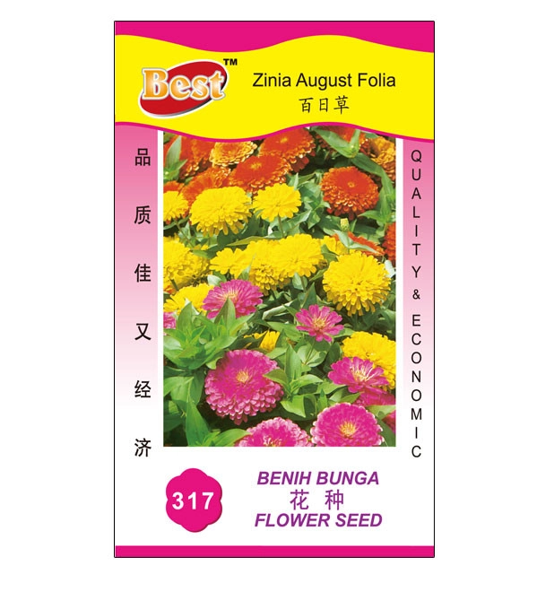 Zinnia August Folia Seeds