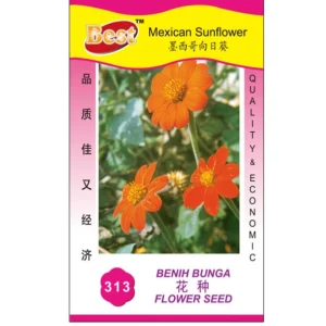 Premium Mexican Sunflower Seeds