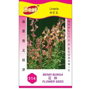 High-Quality Linaria Seed