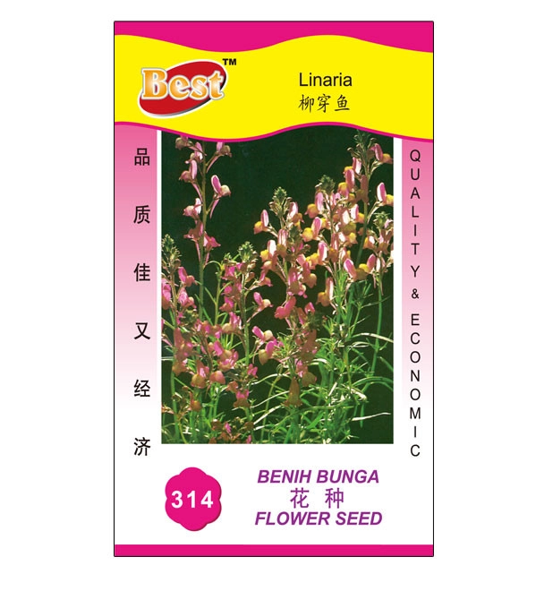 High-Quality Linaria Seed